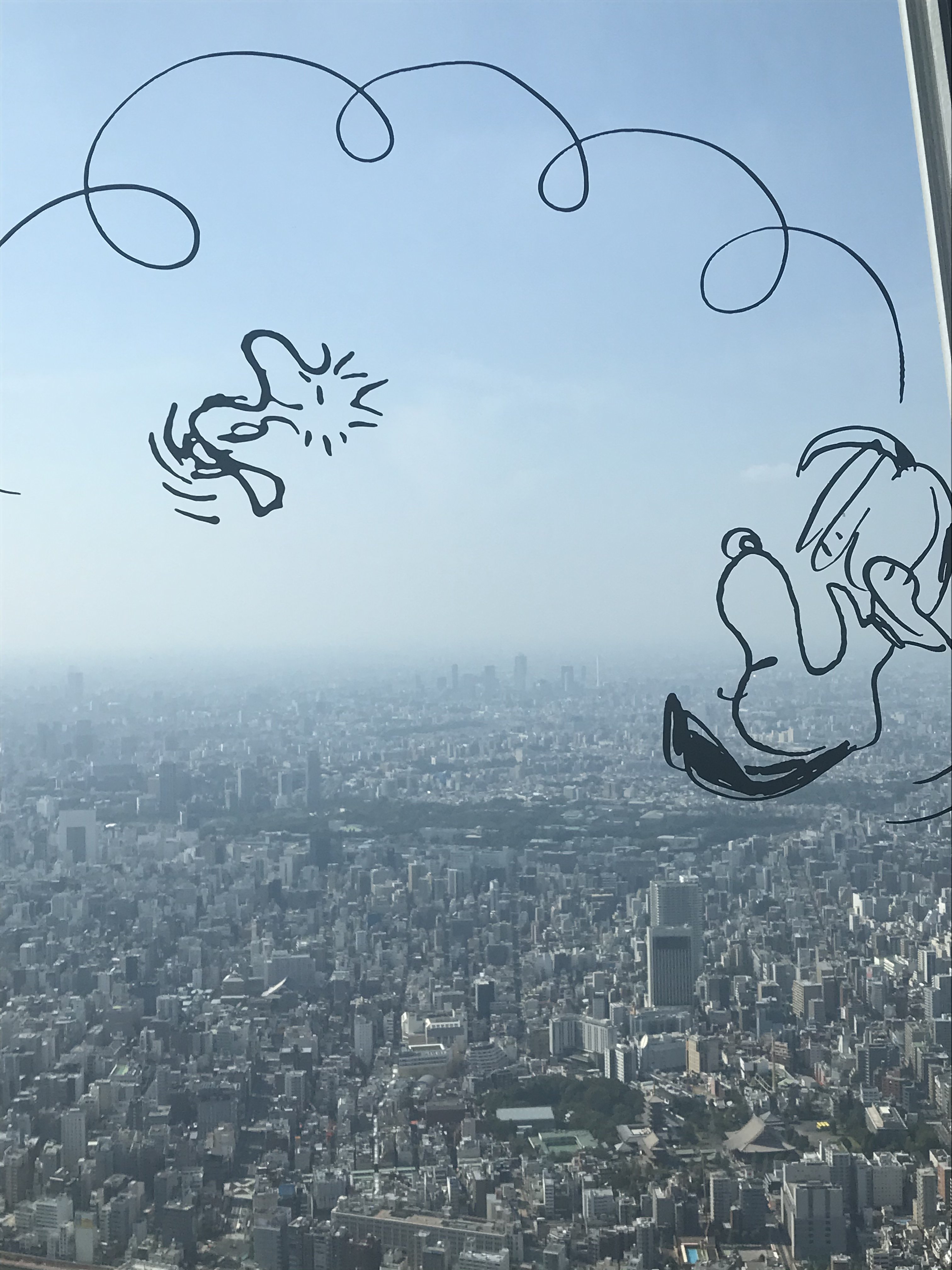 Vue de la Skytree tower